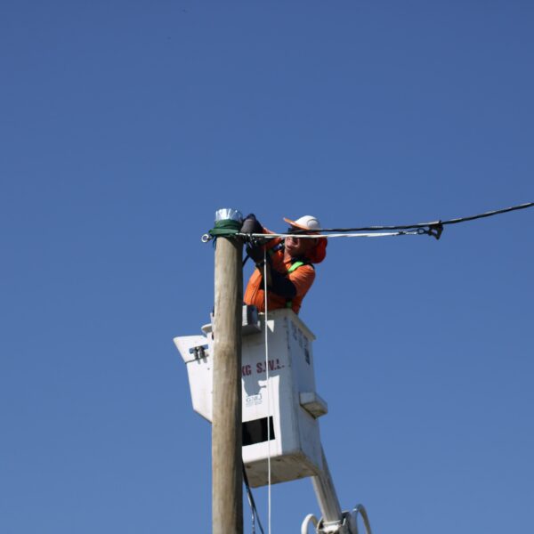 d49e421bda2d87bb52452926ea76b612-min